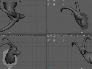 wild goat trophy Modèle 3D