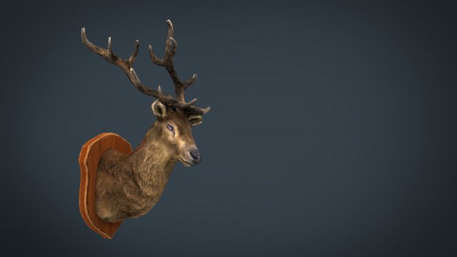 deer trophy 3D 모델 .c4d .max .obj .3ds .fbx .stl .blend 