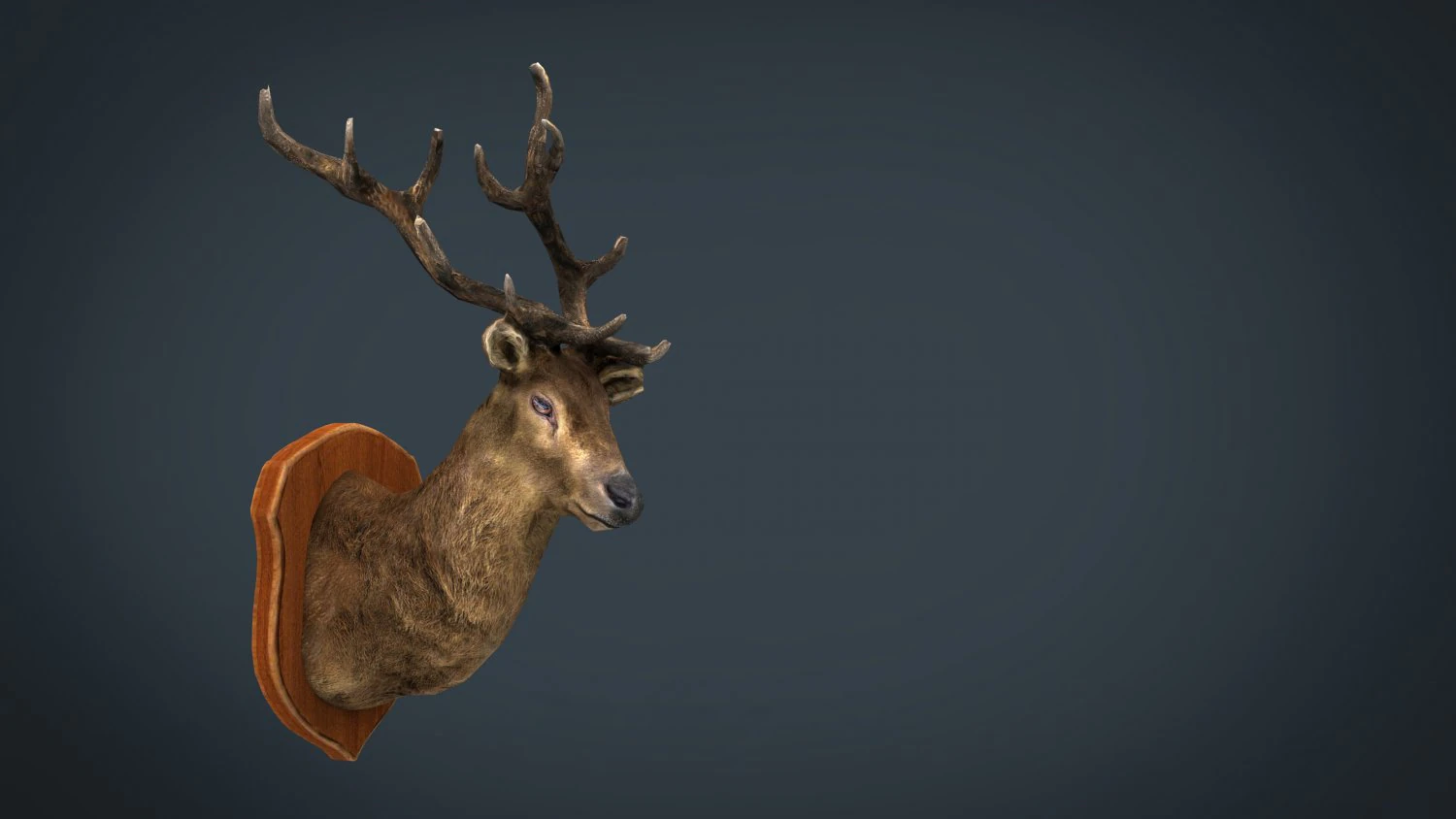 deer trophy 3D Model .c4d .max .obj .3ds .fbx .stl .blend 