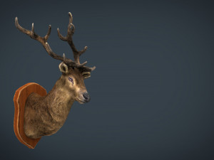 deer trophy 3D Model