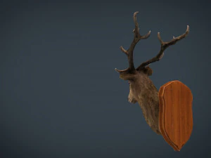 deer trophy 3D Model