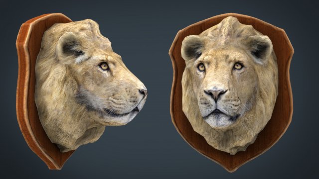 lion trophy 3D 模型 .c4d .max .obj .3ds .fbx .stl .blend 