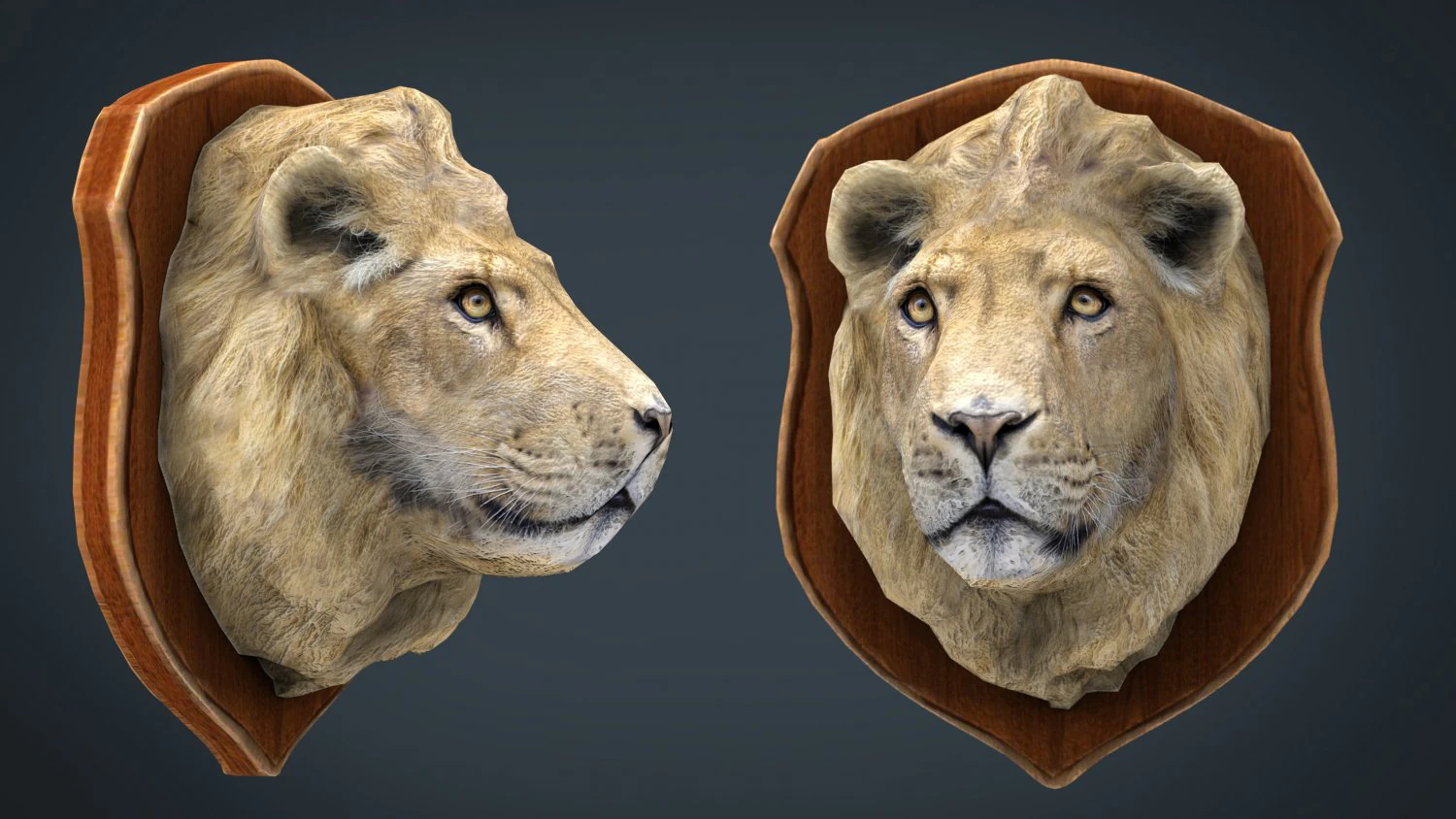 lion trophy 3D Model .c4d .max .obj .3ds .fbx .stl .blend 