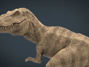 tyranossaurus rex sculpture 3D Model