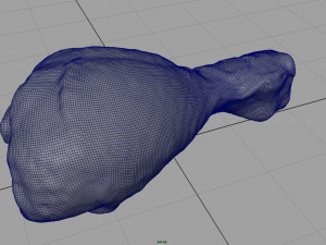 fresh chicken leg 3D Model