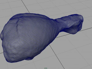 fresh chicken leg 3D Model
