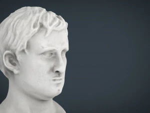 agrippa bust 3D Model