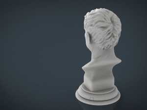 agrippa bust Model 3D