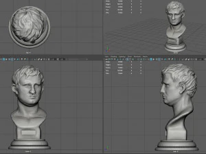 agrippa bust 3D Model