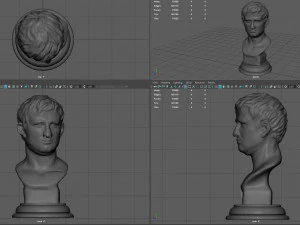 agrippa bust 3D Model
