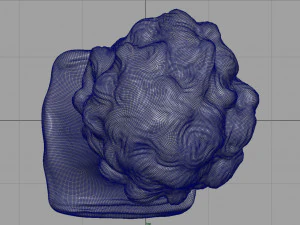 giuliano de medici bust 3D Model