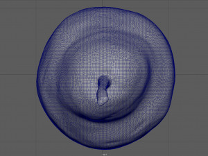 yellow pear 3D Model