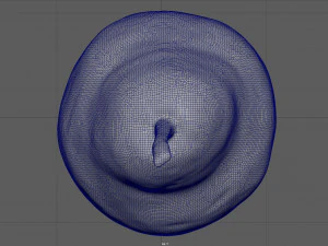 yellow pear 3D Model