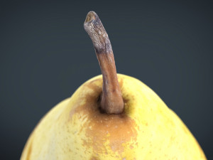 yellow pear 3D Model