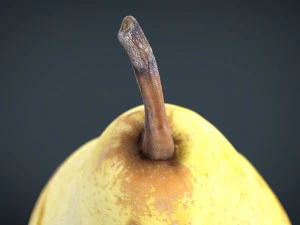 yellow pear 3D Model