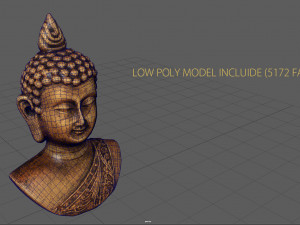 cooper buddha head Modello 3D