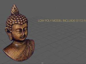 cabe&ccedil;a de buda cooper Modelo 3D