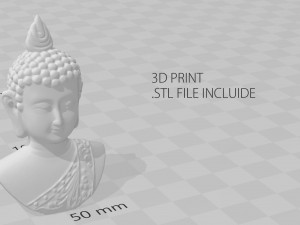 cooper buddha head Modello 3D