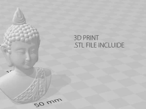 cabe&ccedil;a de buda cooper Modelo 3D