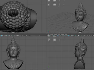 cabe&ccedil;a de buda cooper Modelo 3D