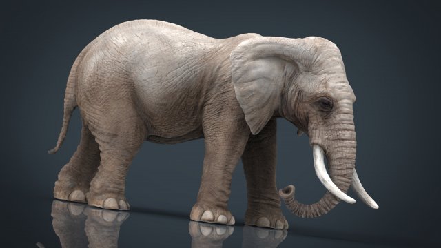 elephant Modello 3D .c4d .max .obj .3ds .fbx .stl .blend 