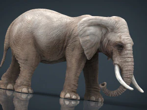 elefante Modelo 3D