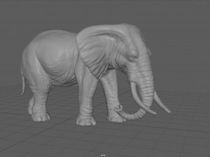 elephant Modello 3D