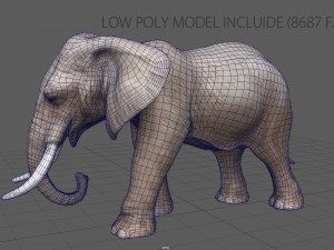 elephant Modello 3D
