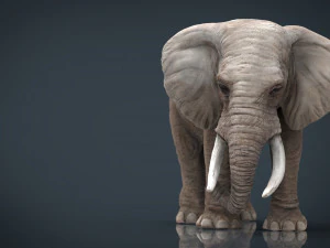 elefante Modello 3D