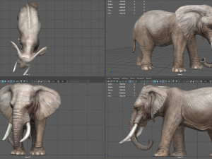 elephant Modello 3D