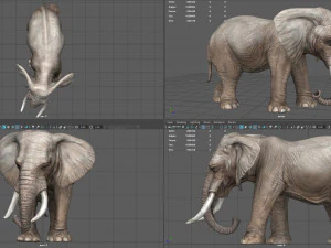 elefante Modello 3D