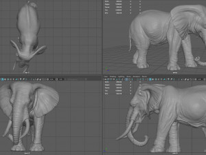 elephant Modello 3D