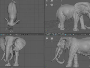 elefante Modello 3D