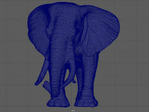 elefante Modello 3D