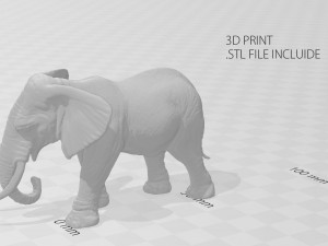 elephant Modello 3D