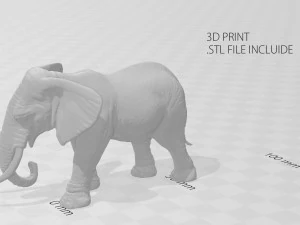 elefante Modello 3D