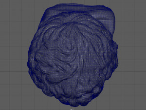 antonio pio bust Modello 3D