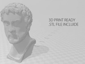 busto de Antonio Pio Modelo 3D