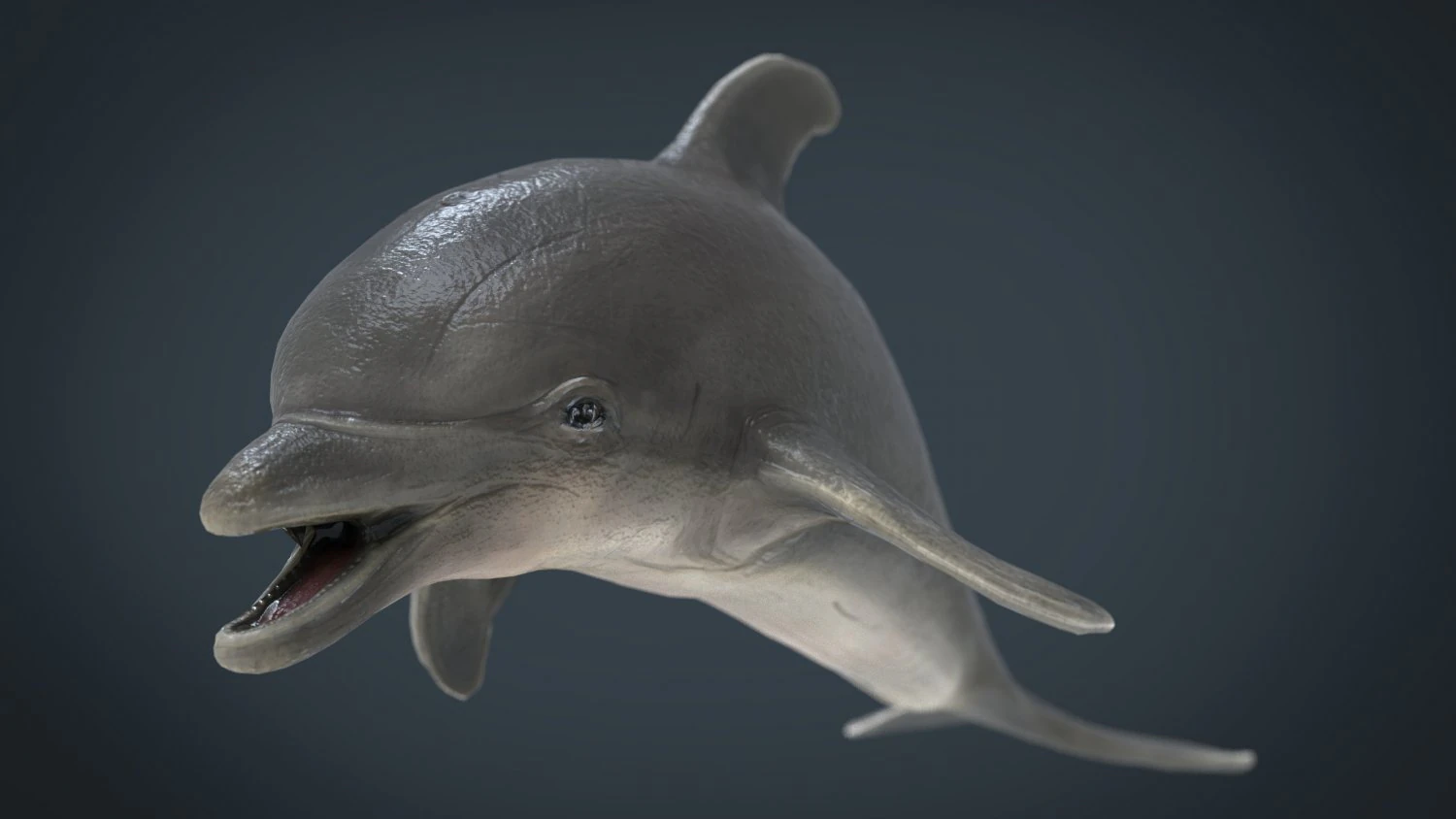 delfin Model 3D .c4d .max .obj .3ds .fbx .stl .blend 