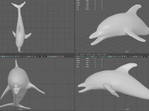 delfin Model 3D