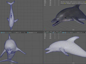 delfin Model 3D