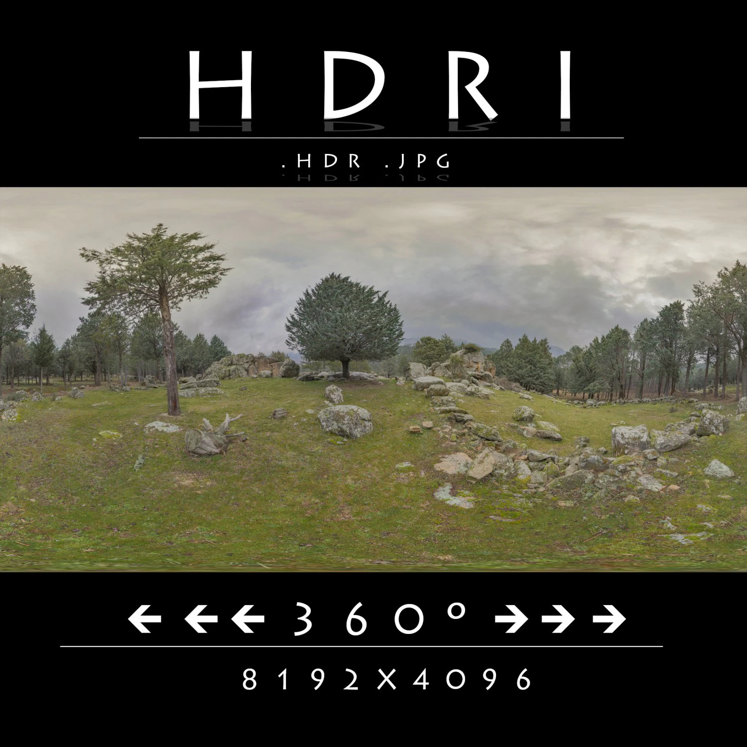 hdr green grass in forest CG Textures .c4d .max .obj .3ds .fbx .stl .blend 