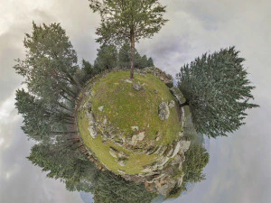 hdr green grass in forest CG Textures