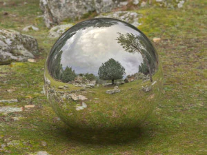 hdr green grass in forest CG Textures