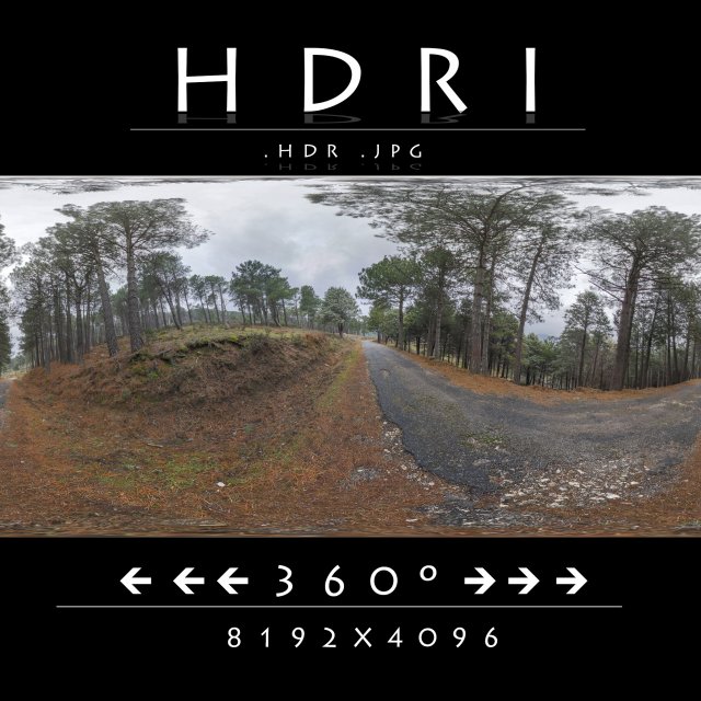 hdr road forest CG टेक्स्चर्स .c4d .max .obj .3ds .fbx .stl .blend 