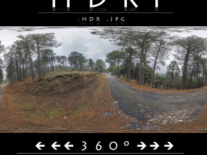 hdr road forest CG Textures