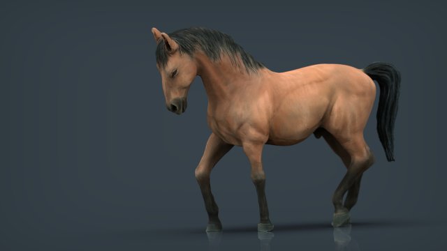 spanish horse 3D Model .c4d .max .obj .3ds .fbx .stl .blend 