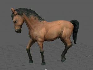 spanish horse 3D Model
