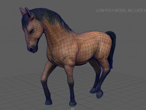spanish horse 3D Model
