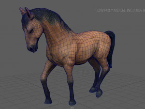 spanish horse 3D Model